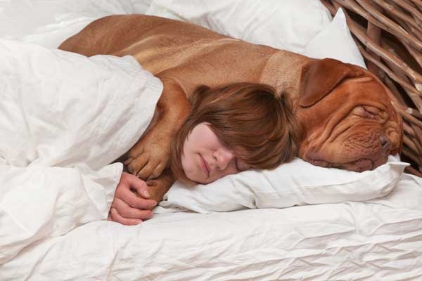 Get a Pet to Cuddle with Before Bedtime