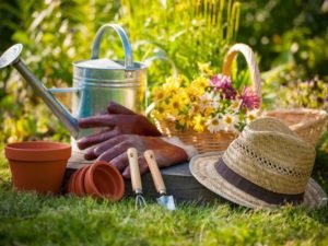 A Beginner’s Guide To Gardening -16 Secret Tricks Uncovered