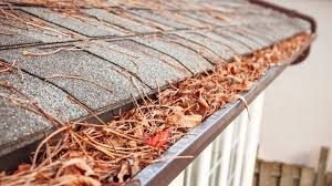 Gutter Cleaning- Step by Step Guide For Homeowners